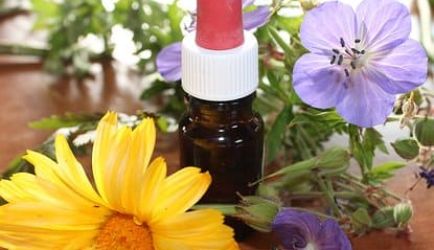 ¿Quieres estudiar Homeopatía a Distancia? Los 7 principales Centros de Formación para formarte